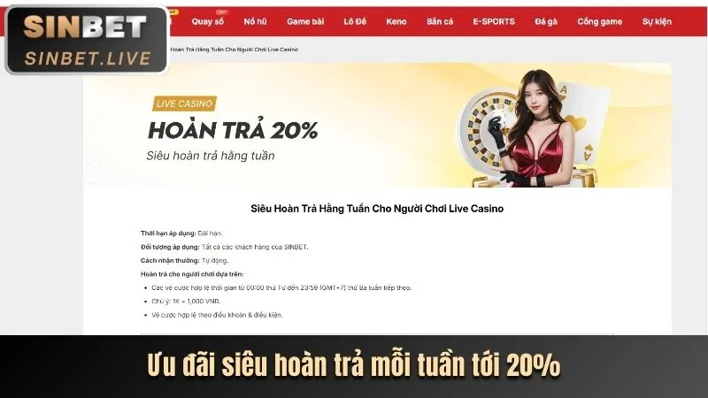 Chuyên sâu về 12bet nhà cái